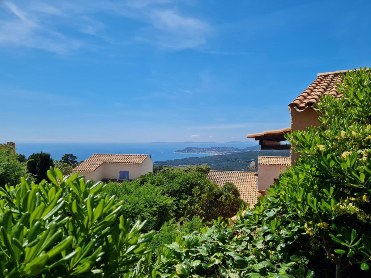 Bel Appartement Renove, Avec Terrasse Et Piscine La Croix-Valmer Bagian luar foto