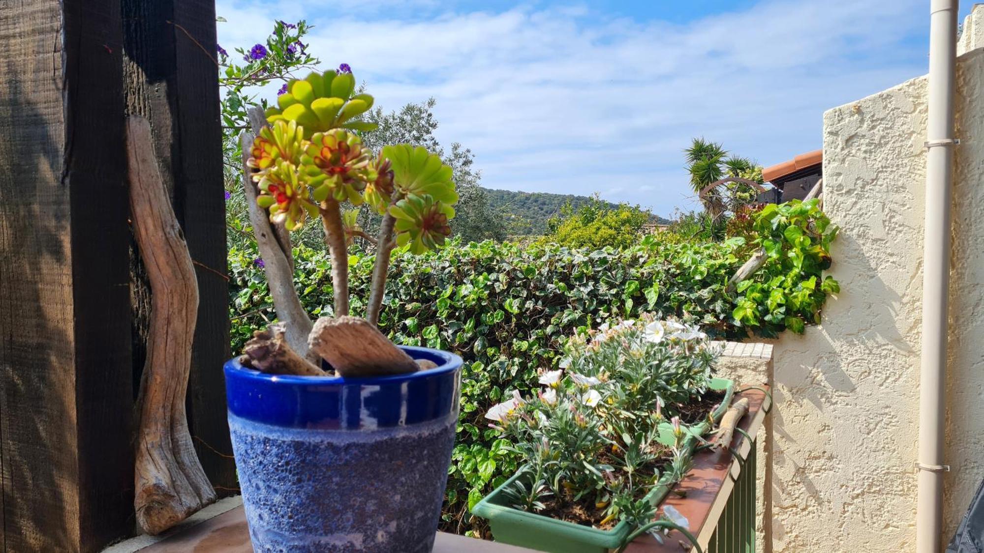 Bel Appartement Renove, Avec Terrasse Et Piscine La Croix-Valmer Bagian luar foto
